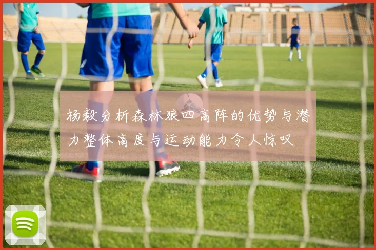 杨毅分析森林狼四高阵的优势与潜力整体高度与运动能力令人惊叹